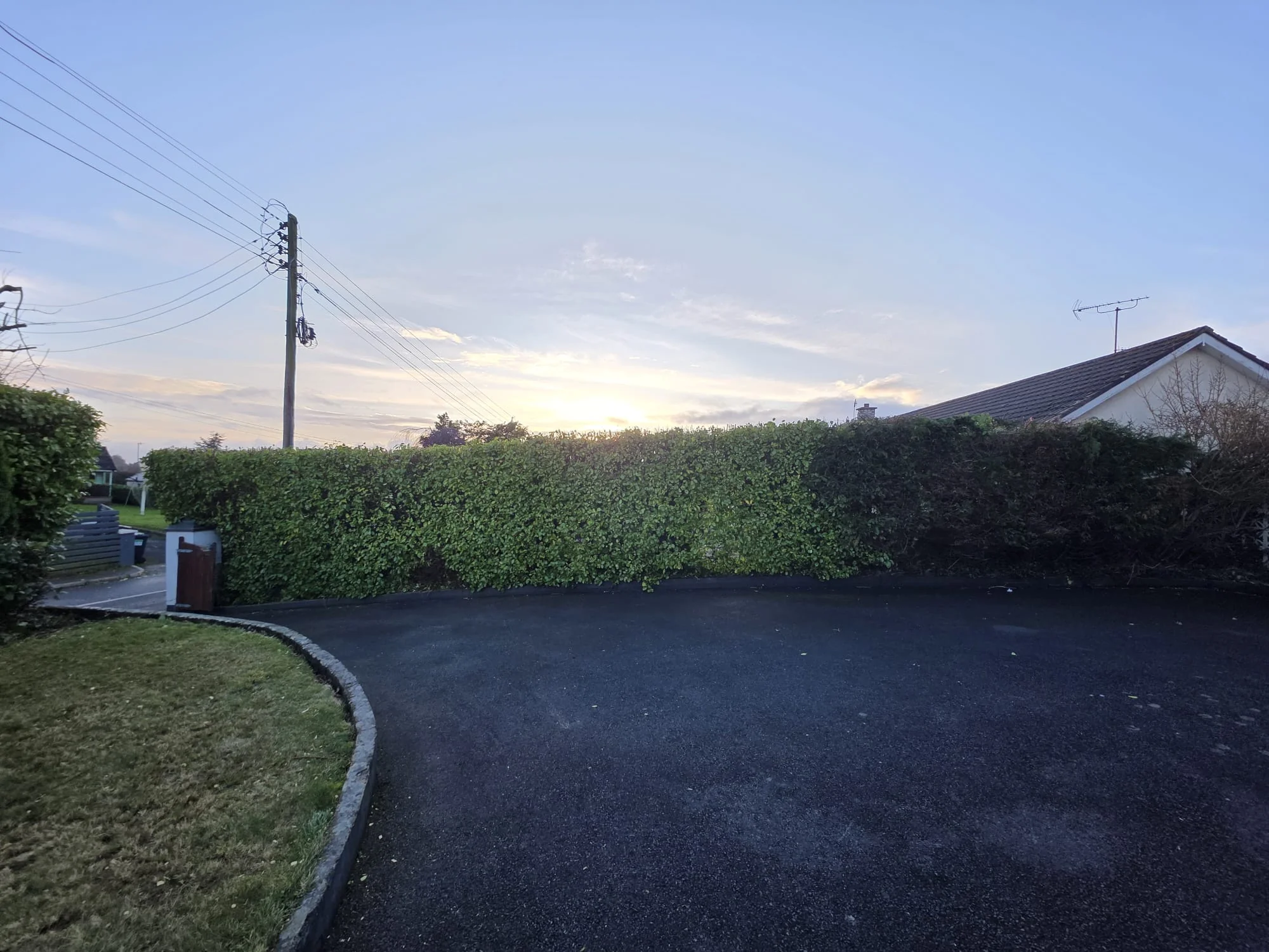Gardener Dundalk — neat hedge and lawn work