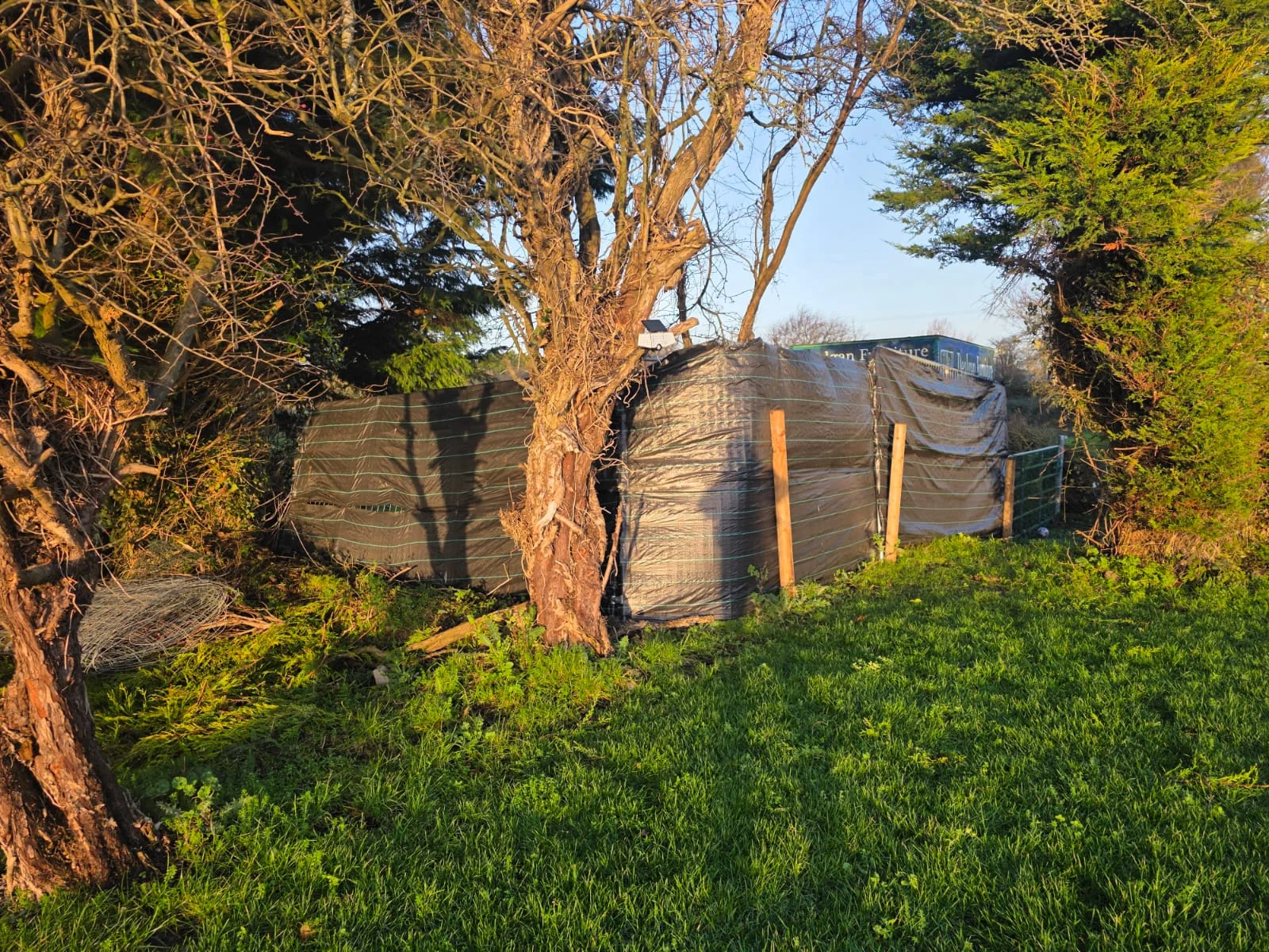 Old fence before replacement