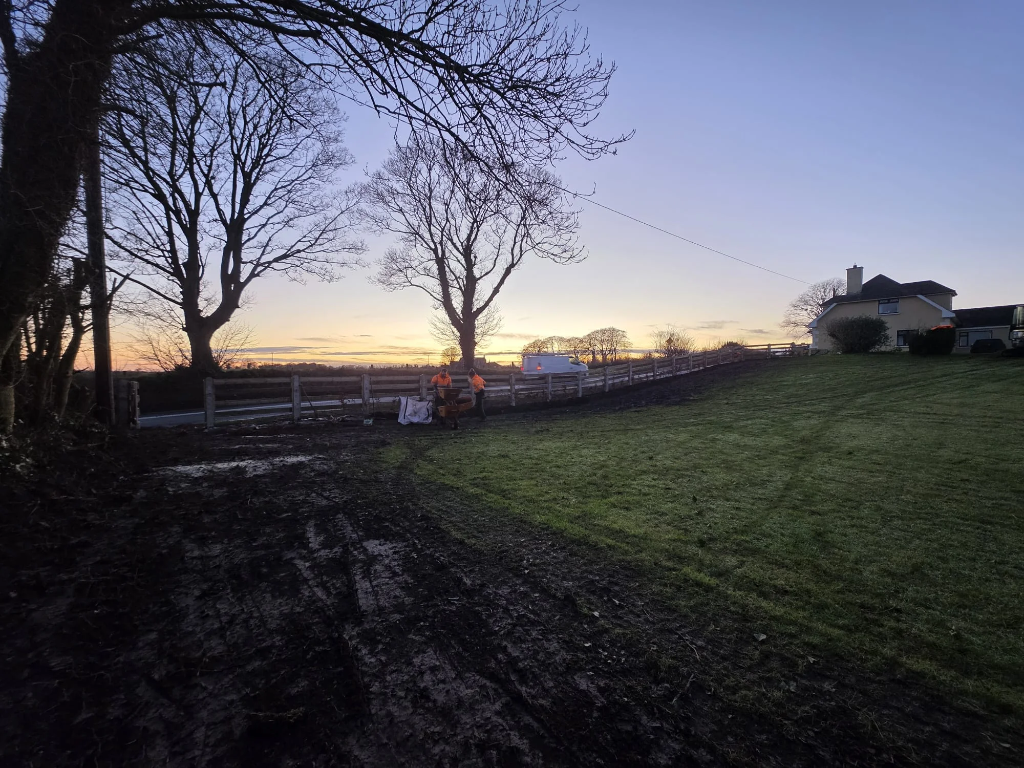 Pruning work in Dundalk