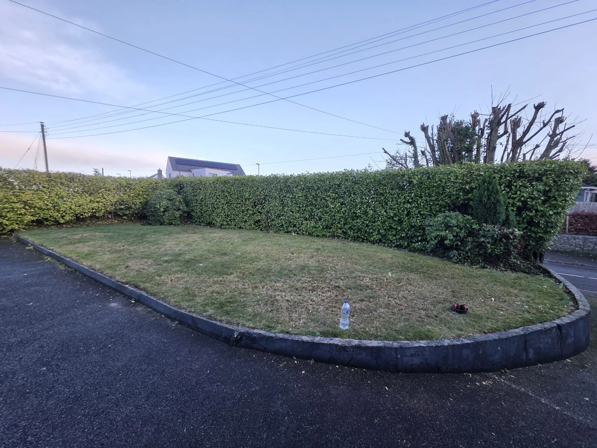 Neatly trimmed hedge in Dundalk